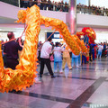 DSC_4976b.jpg