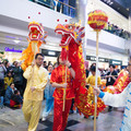 DSC_5024b.jpg