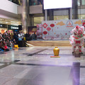 DSC_5084b.jpg