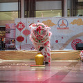 DSC_5104b.jpg