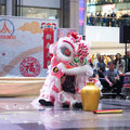 DSC_5112b.jpg