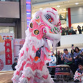 DSC_5153b.jpg