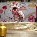 DSC_5250b.jpg
