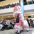 DSC_5334b.jpg