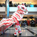 DSC_5335.JPG