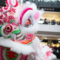 DSC_5342b.jpg