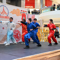DSC_5719.JPG