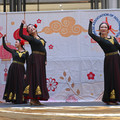 DSC_6088.JPG